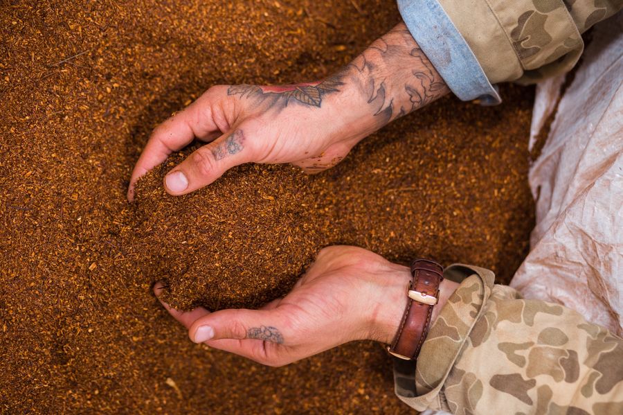 Rooibos v rukách farmáře